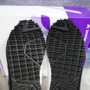 자이언트파마 이미지