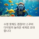 스쿠버다이빙 체험 후기, 물속 세계가 궁금하다면?