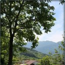 지리산엄천골