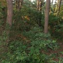 서진충전소 이미지