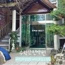 하루효소편백 | 의정부 효소찜질 수락산편백원 후기 예약 가격 준비물