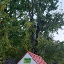 가곡초등학교, 가곡초교(병설유치원) 이미지