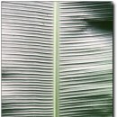 식물원 옆 동물원 이미지