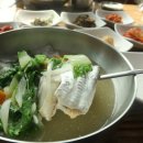 덕승농장 | 제주 모슬포 덕승식당 갈치국 제주 현지인 맛집이래요~!