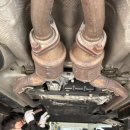 티엠모터스 이미지