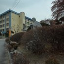 구읍1리 이미지