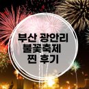 동원과학기술대학교(입구 주자장 옆 샛길 위) | [부산] 광안리 불꽃 축제 다녀온 찐 후기와 꿀팁!