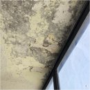 부산심미 | 부산페인트 재송동 아파트 복도 무늬코트 시공 후기