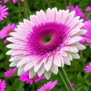 12월 16일 화요일 간추린 뉴스와 날씨 이미지