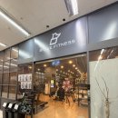 브레이브 휘트니스 | 브레이브 휘트니스 정자점 피티 후기