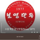 【수원 북문 분식맛집】40년 전통 수원 북문 맛집_보영만두 북문본점 ㅣ고기군만두,중간쫄면, 김치만두...