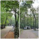 삼정야영장 화장실 이미지