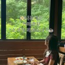 신정로7길 | [양천]소극장 페르소나카페 , 브런치 후기 (내돈내산)