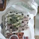 신의주순대와쭈꾸미청학점 이미지