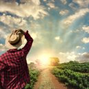 진 농장 이미지