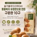 올가홀푸드 구운계란 추천! 동물복지 유정란으로 만든 ORGA 구운란 10구 솔직 후기