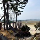 돌머리해수욕장 주차장 이미지