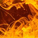 리하스킨케어 이미지