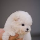 칠곡종합동물병원 이미지