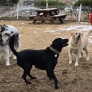 박순호의 아이슬란드 이미지