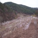 골안목장 이미지