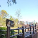 목포의 눈물 노래비 이미지