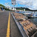 대변항2 | 부산 해파랑길 2코스와 갈맷길 트레킹 여행(기장 대변항 낚시)