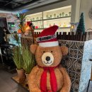 파인보울 샐러드 | 한국인 입맛 저격한 외대 맛집 이터스 멕시칸 외대점 방문 후기