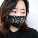 가리지오