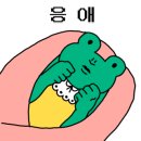 쟈빠따 베이커리 영천완산점 이미지