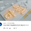 주야농장 네이버블로그