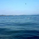 산과바다민박 이미지