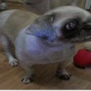 안산약수터 이미지