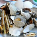 바다의 만찬 이미지