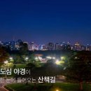 야간)영상제작 이미지