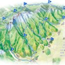 소백산약국 이미지