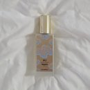 포드그루와 | 나의 향수 취향과 구매 예정 향수 (근데 이제 ChatGPT 분석을 곁들인)