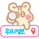 다바유외과의원 네이버블로그