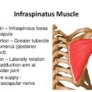 아레아 필라테스 앤 피티 약대점 이미지