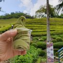 보성아이스크림 이미지