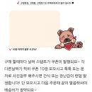 댕냥이집사몰