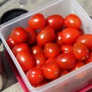 삼겹파티 이미지