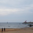 고래를기다리며