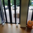 인제게임장 이미지