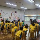 케이탑태권도 이미지