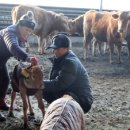 미동농장 이미지