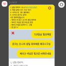 조니케이크