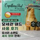 강아지탐험대동물미용업 | 강아지 배변 패드 추천｜국제모세관패드 사용 후기, 모서리 소변도 새지 않아 만족!