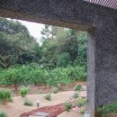 소요소림 이미지