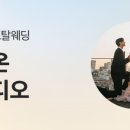 비올레브